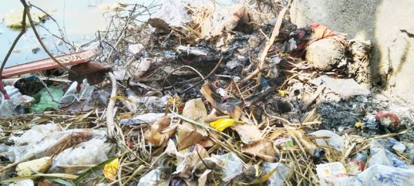 बदबूदार और गंदगी से बसंतपुर तालाब में निस्तारी से बीमारियों को दावत