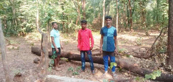 सालभर से कूप कटाई का भुगतान नहीं, ग्रामीणों में रोष
