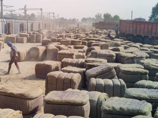 समर्थन मूल्य पर धान खरीदी आज से, पहले दिन के लिए 391 टोकन जारी