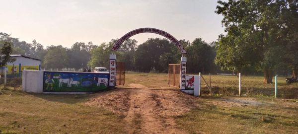 फरसगांव के सभी गोठानों में 6 प्रकार की गतिविधियों का होगा संचालन