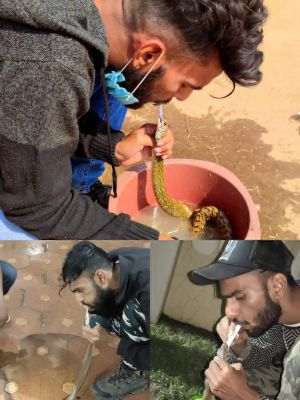 सीपीआर तकनीक का इस्तेमाल कर स्नेकमैन सत्यम सांपों की बचा रहे जान
