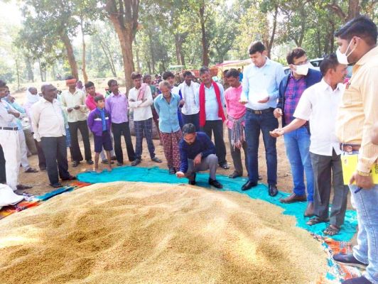 पहले दिन 45 हजार 188 क्विंटल धान खरीदी