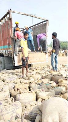  समर्थन मूल्य पर धान खरीदी के साथ ही समितियों से भी शुरू हुआ उठाव