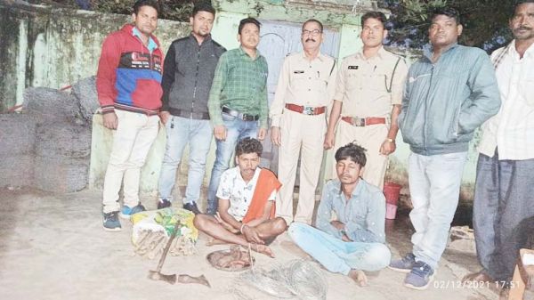 करंट से जंगली सुअर का शिकार, 2 गिरफ्तार, 1 फरार