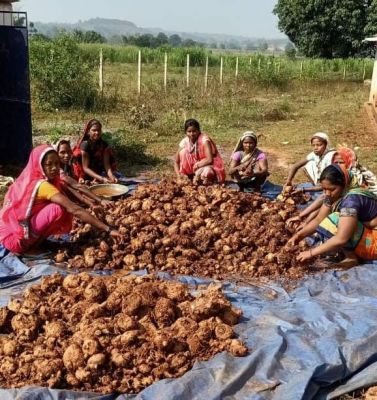 गोठान में विविध आजीविका गतिविधियां महिलाओं के लिए खोल रही तरक्की के द्वार