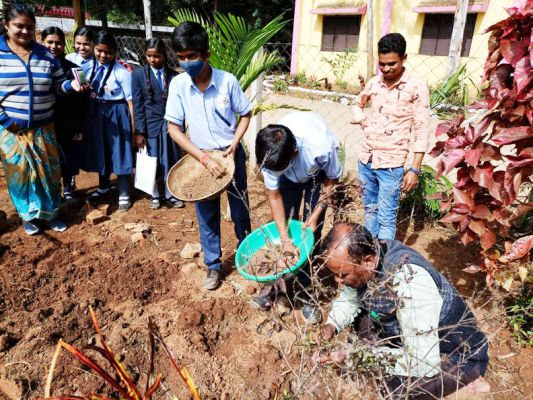 करपवांड के स्वामी आत्मानंद उत्कृष्ट अंग्रेजी माध्यम स्कूल में रोपे पौधे