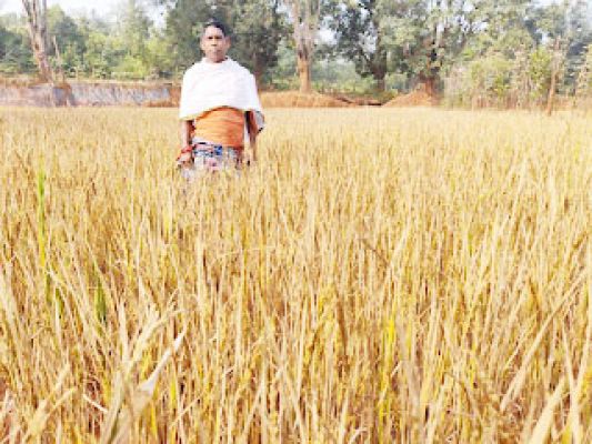 किसानों की मेहनत पर फिरा पानी