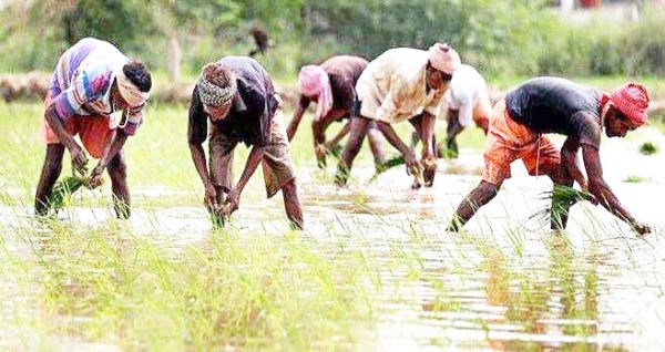ग्रामीण भूमिहीन कृषि मजदूर न्याय योजना में मिले साढ़े 36 हजार आवेदन