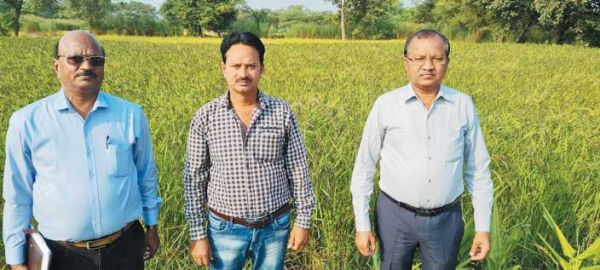   जैविक खेती अपनाकर खेमलाल ने समृद्धि की दिशा में बढ़ाया कदम