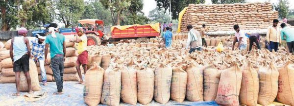 जिले में 42 हजार 967 क्विंटल धान खरीदी