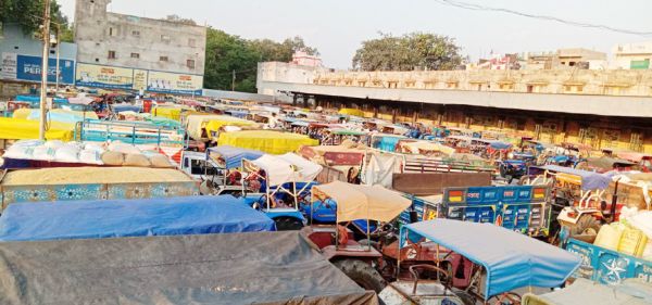 मंडी शुल्क वृद्धि का व्यापार पर गहरा असर, धान खरीदी भी बंद
