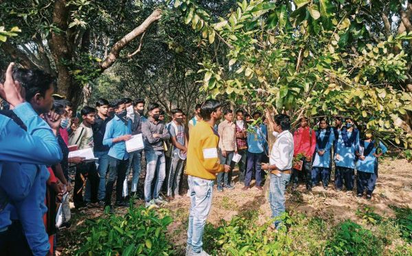 कृषि छात्राओं का नर्सरी कोपाबेड़ा में भ्रमण