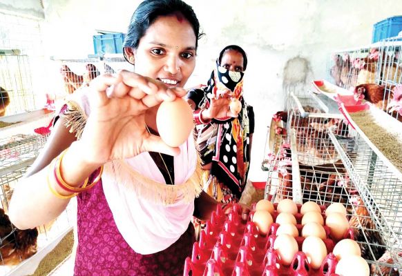 रोजगार के साथ ही कुपोषण को मात देने का काम, आंगनबाडिय़ों में अंडों की आपूर्ति  