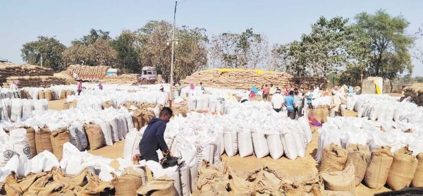 करहीभदर खरीदी केंद्र में धान हो रहा जाम