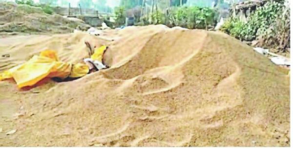 किसान के घर में आए हाथी, ब्यारा में रखे धान को पहुंचाया नुकसान
