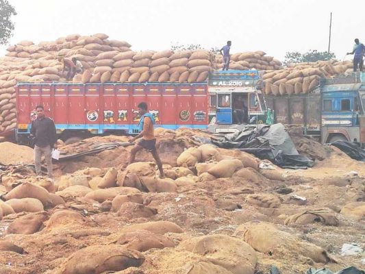 स्टेडियम को बनाया धान संग्रहण केंद्र, ट्रकों की आवाजाही से गड्ढे, चूहे बना रहे बिल