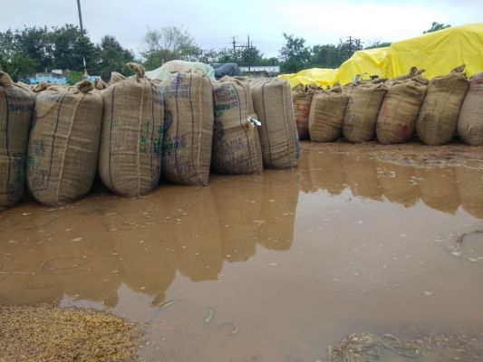 सोसाइटियों में रखे साढ़े नौ अरब के धान की सुरक्षा के लिए प्रशासन ने झोंकी ताकत