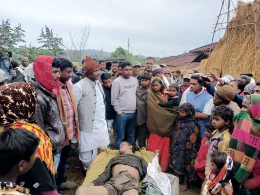 हाथियों ने पंडो युवक को पटक मारा