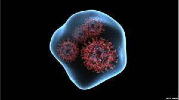 मुख्य सचिव ने ओमिक्रॉन से निपटने के लिए तैयारियों की समीक्षा