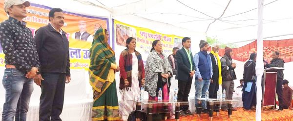 संडी में दो दिनी जिला पशुधन प्रदर्शनी