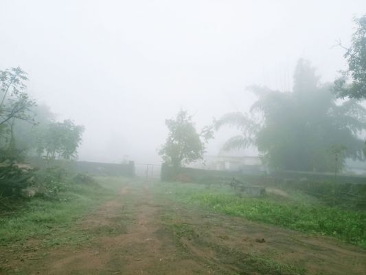 कोहरे के साये से घिरा