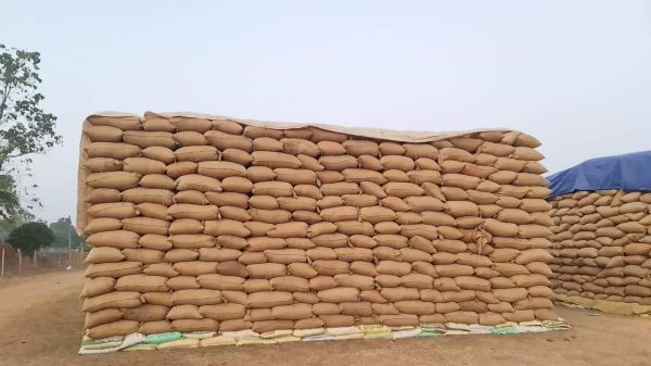 धान खरीदी केंद्र से उठाव नहीं, मौसम खराब होने से प्रबंधक परेशान