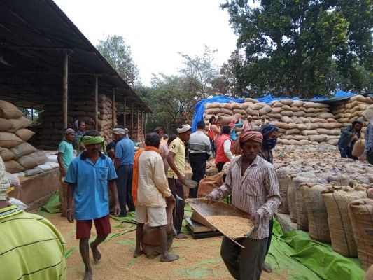 पिछले साल की तुलना में अब तक 15 फीसदी अधिक खरीदी, धान उठाव में तेजी