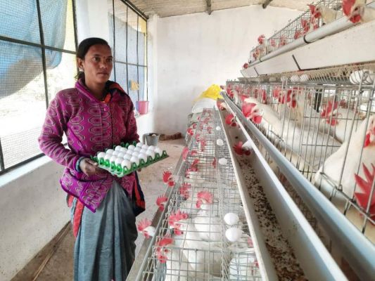 समूह की महिलाओं ने तीन महीने में 8 लाख से अधिक के बेचे अंडे