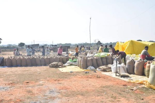 जिले के किसानों ने 1 लाख 16 हजार मीट्रिक टन धान बेचा