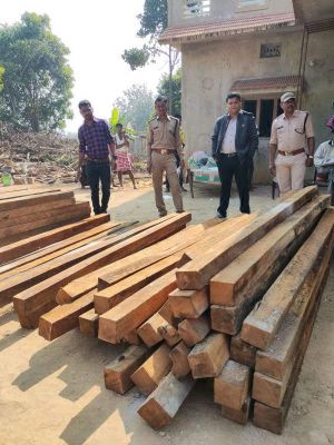 1 लाख 11 हजार की इमारती लकड़ी जब्त