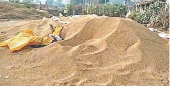 बारिश में धान भीगने पर महासमुंद कलेक्टर को नोटिस