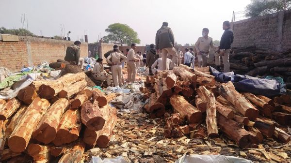 होटल कृष्णा पैलेस सरायपाली से खैर कत्था प्रजाति के लगभग 50 लाख कीमती लकड़ी बरामद