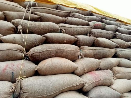 अमेरा में किसानों का धान नहीं खरीदने का आरोप