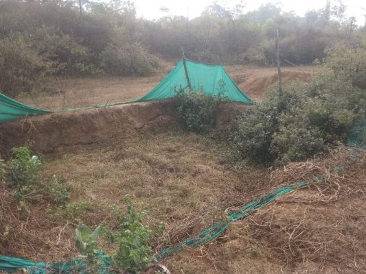 पशुपालकों को अब तक नहीं मिली गोबर विक्रय की राशि