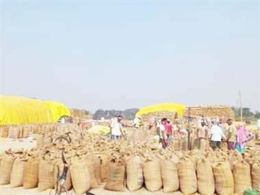 धान खरीदी के लिए मात्र 10 दिन शेष लक्ष्य को पूरा करने के लिए रोजाना