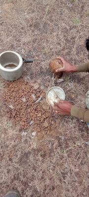 5 किलो प्रेशर कुकर बम बरामद, किया निष्क्रिय