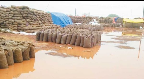 बेमेतरा के 41 हजार किसानों से 1.80 लाख टन धान की खरीदी बाकी