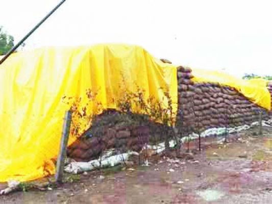 सप्ताह भर से धान खरीदी नहीं, किसान परेशान