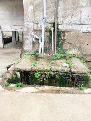 नपा के सेप्टिक टैंक की दुर्गंध से परेशान