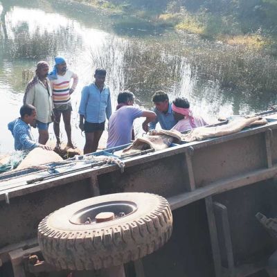धान से भरी ट्रैक्टर-ट्रॉली पुल से गिरी