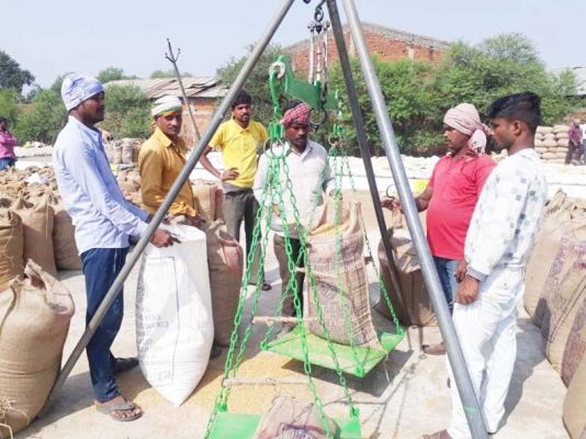 87 प्रतिशत किसानों से 5 लाख टन से अधिक धान खरीदी