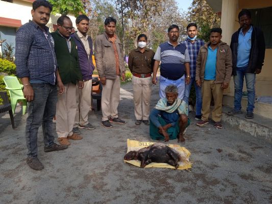 शाही के शिकार, 1 गिरफ्तार, चार फरार