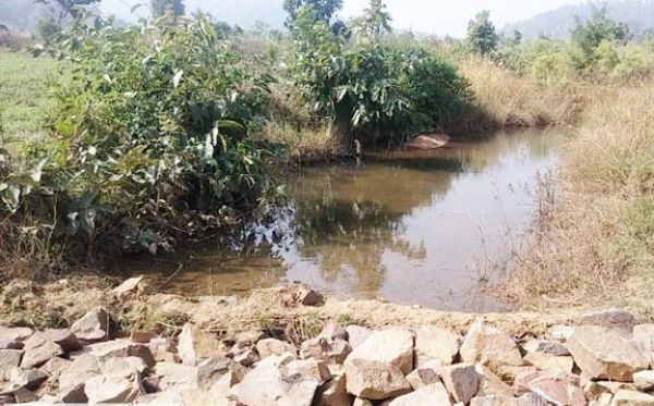 रबी फसल के लिए मिल रहा पानी