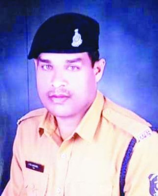 उत्कृष्ट कार्य के लिए क्रॉप ऑफ द वीक चुने गए जीत लहरे