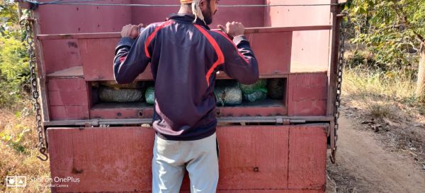 पिकअप में कंपार्टमेंट बनाकर गांजा तस्करी