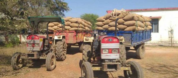 सोसाइटी की पर्ची के बिना परिवहन, 84 क्विटंल धान जब्त