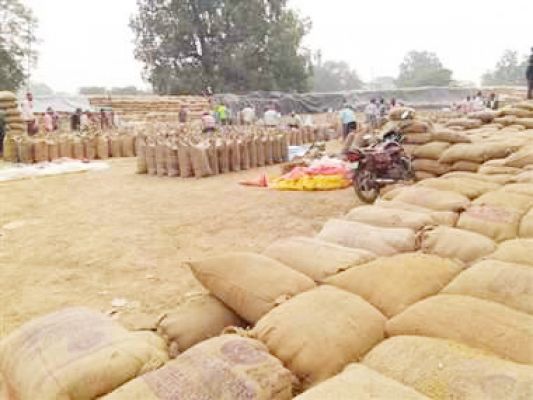 धान उठाव धीमा, उपार्जन केंद्रों में जाम के हालात