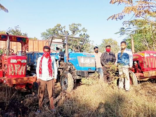 रेत का अवैध परिवहन, 2 हाईवा सहित 33 ट्रैक्टर जब्त   