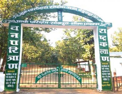 6 माह गुजरे टाइगर रिजर्व नहीं  बना गुरू घासीदास उद्यान