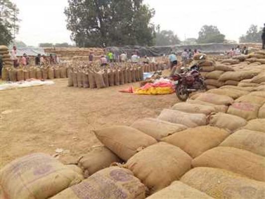 खरीदी के बाद तेजी से धान उठाव
